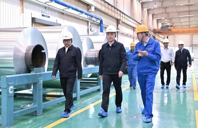 新安縣委書記王智到萬基控股集團調研